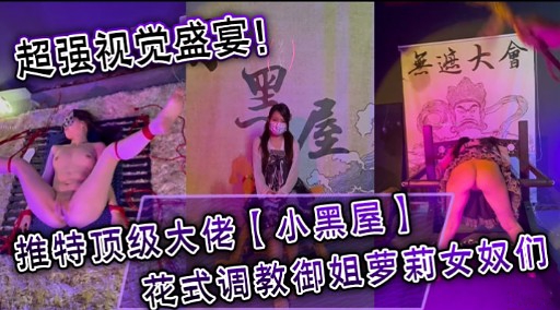 推特顶级大佬【小黑屋】花式调教御姐萝莉女奴们